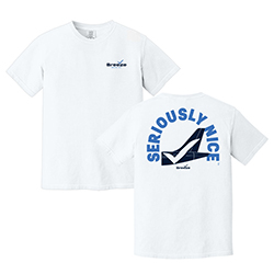 BREEZE BIRTHDAY COMFORT COLORS SERIOUSLY NICE TEE