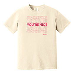BREEZE BIRTHDAY COMFORT COLORS YOU'RE NICE TEE